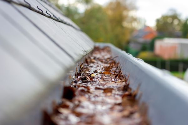 Commercial Gutter Cleaning in Wexford