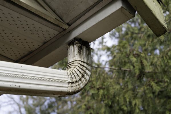 Downspout Cleaning in Wexford