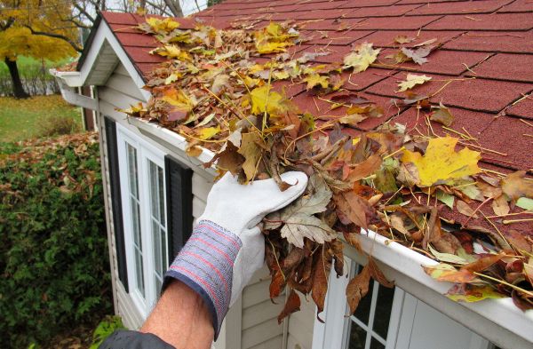 Rain Gutter Cleaning Service in Wexford