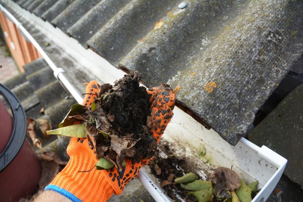 Seamless Gutter Cleaning in Wexford
