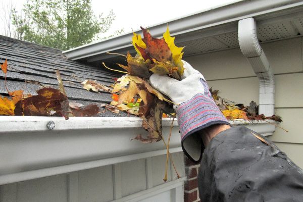 Leaf Gutter Cleaning in Wexford