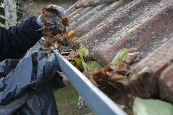 Commercial Gutter Unclogging in Wexford