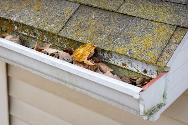 Cost of Garage Gutter Cleaning in Wexford