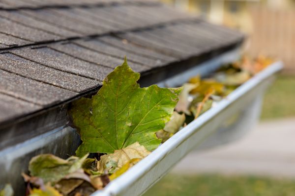 Cost of Gutter Leaves Removal in Wexford