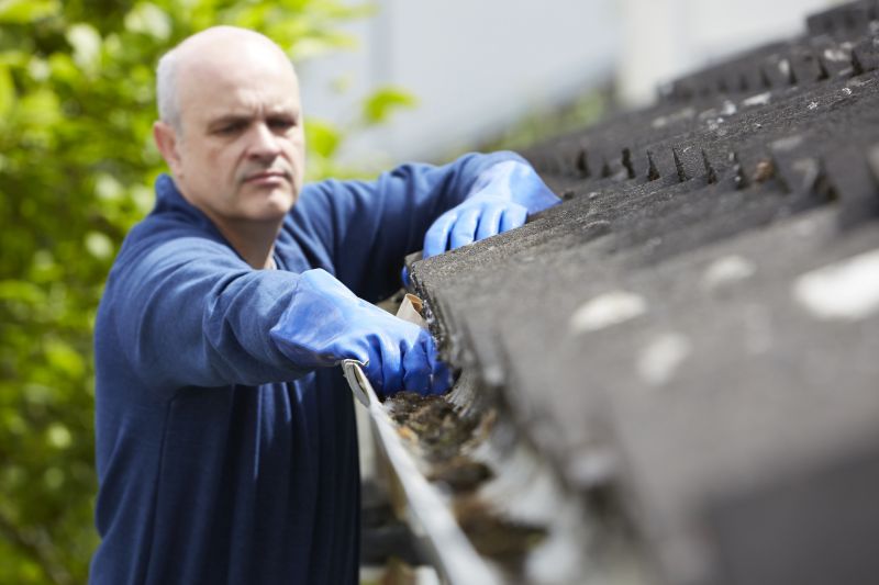 Gutter Cleanings