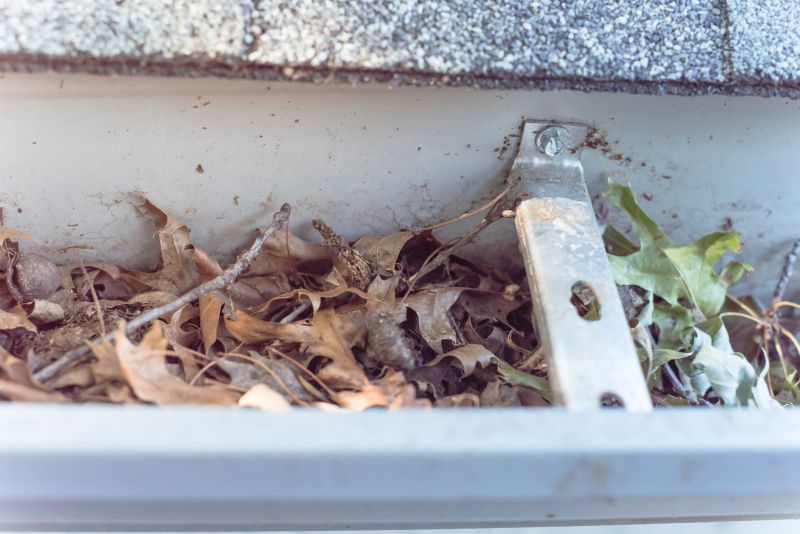 Clean Gutters with Debris Removal